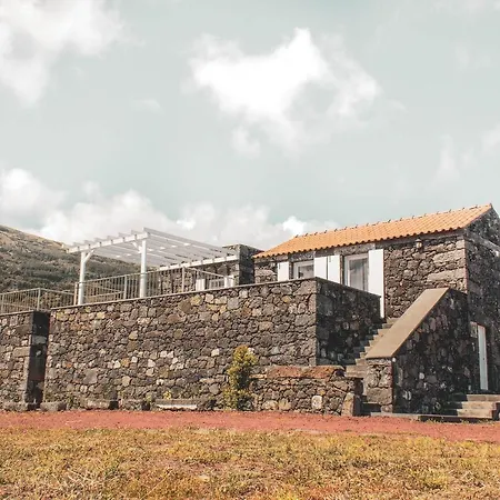 Villa Adegas Do Pico *