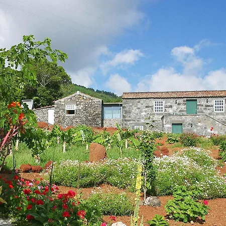 Vila Adegas Do Pico