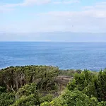 Adegas Do Pico