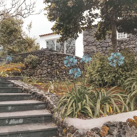 Adegas Do Pico Villa *