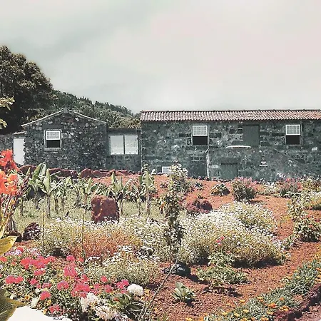 Adegas Do Pico * Prainha (Sao Roque do Pico)