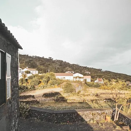 Adegas Do Pico Villa *