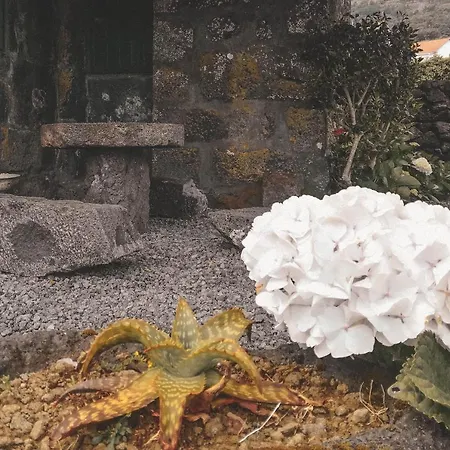 Adegas Do Pico Prainha (Sao Roque do Pico)