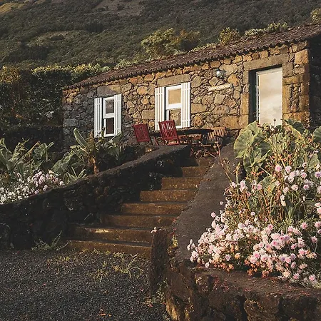 Adegas Do Pico * Prainha (Sao Roque do Pico)