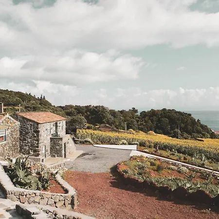 Villa Adegas Do Pico