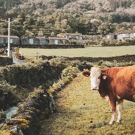 Adegas Do Pico Villa *