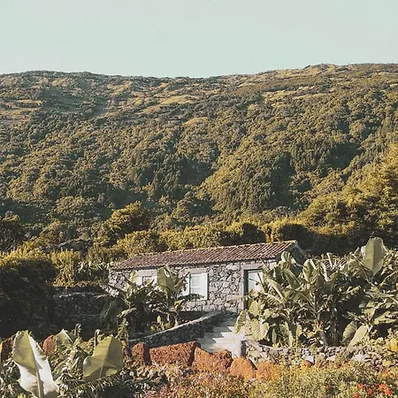 Adegas Do Pico Villa Prainha (Sao Roque do Pico)