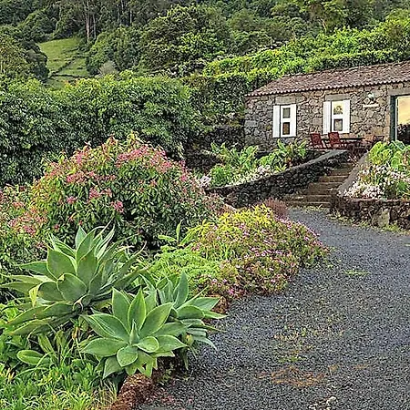 Adegas Do Pico Villa *