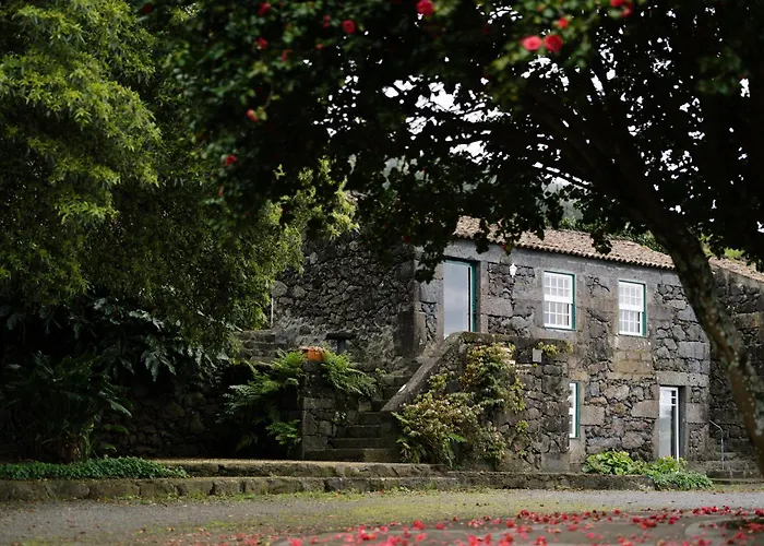 Villa Adegas Do Pico *